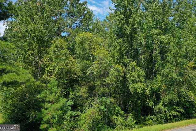 a view of a yard with plants and a small yard