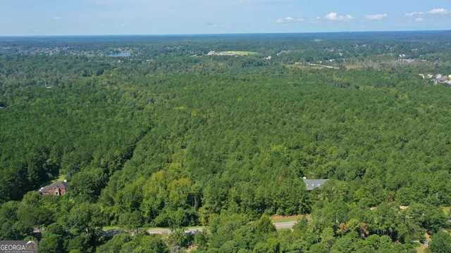 an aerial view of residential houses with outdoor space and trees