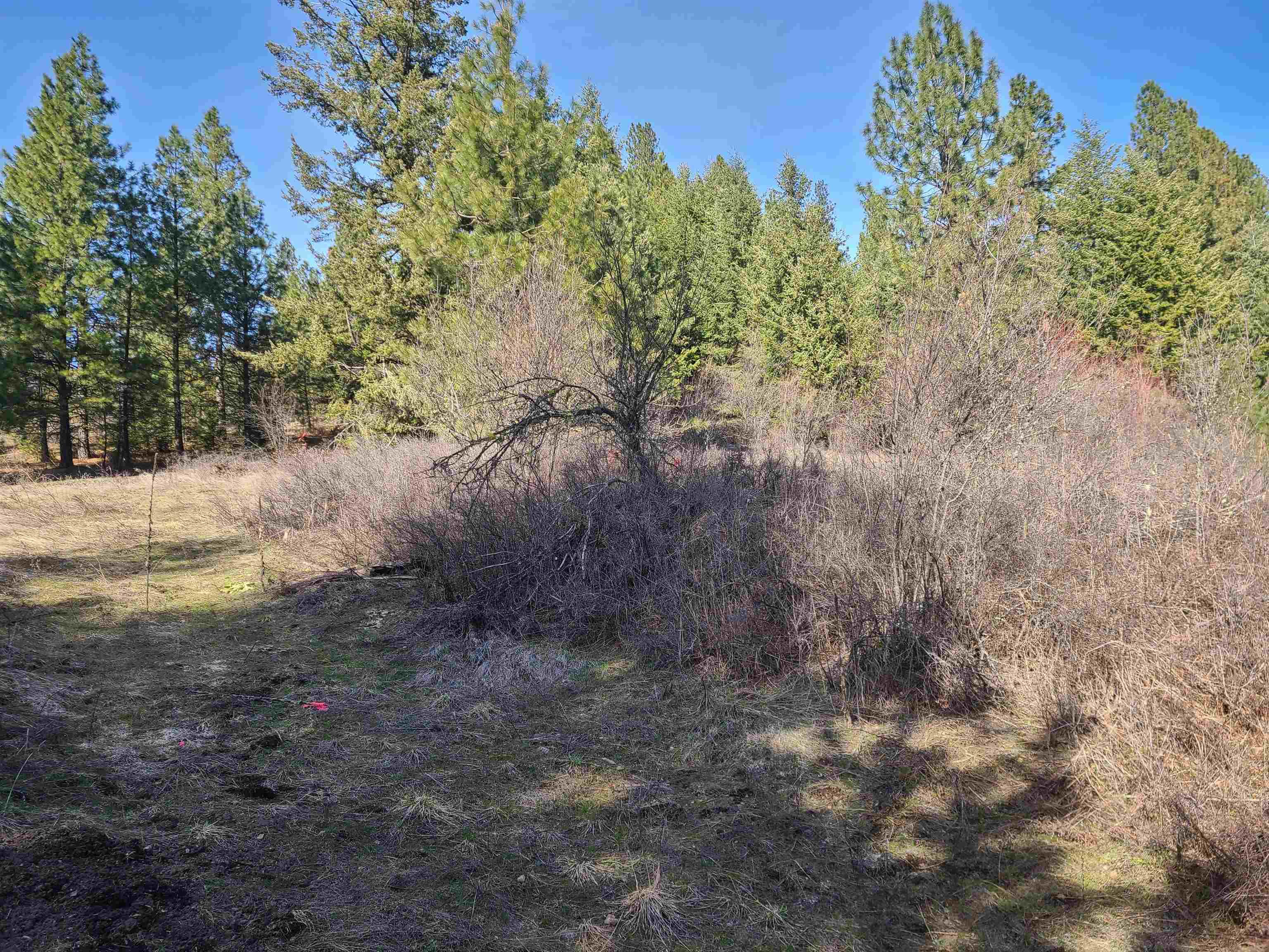 2584 F Bridgeman-Rettinger Road Kettle Falls, WA 99141 - Photo 12 of 21