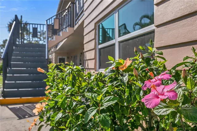 a flower that is in front of flower