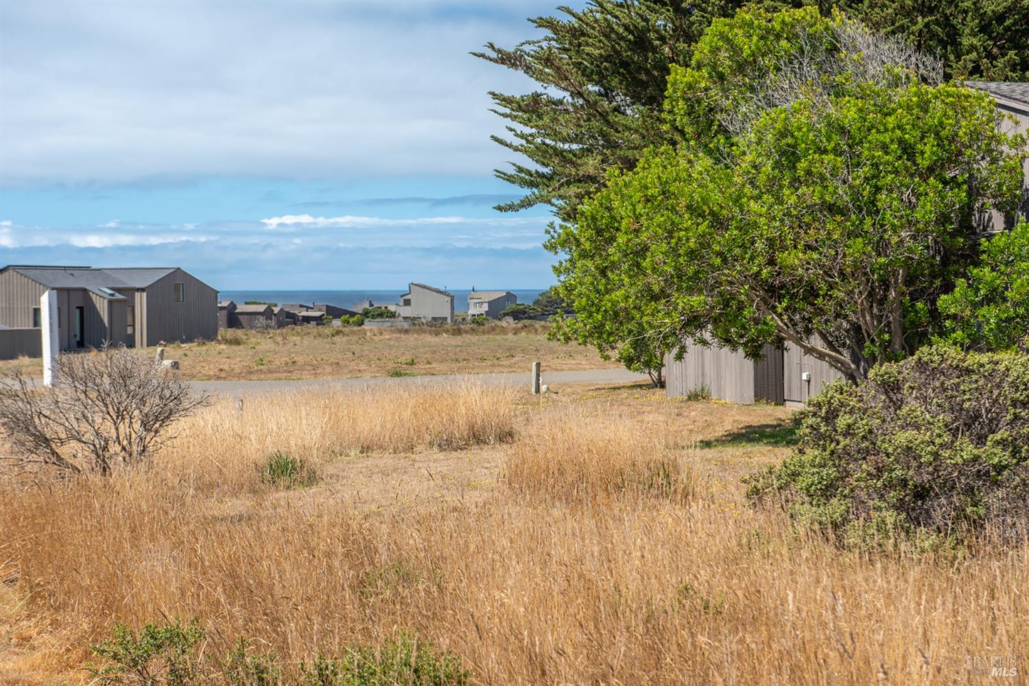 41934 Leeward Road The Sea Ranch, CA 95497 - Photo 2 of 10 a view of a yard and mountain