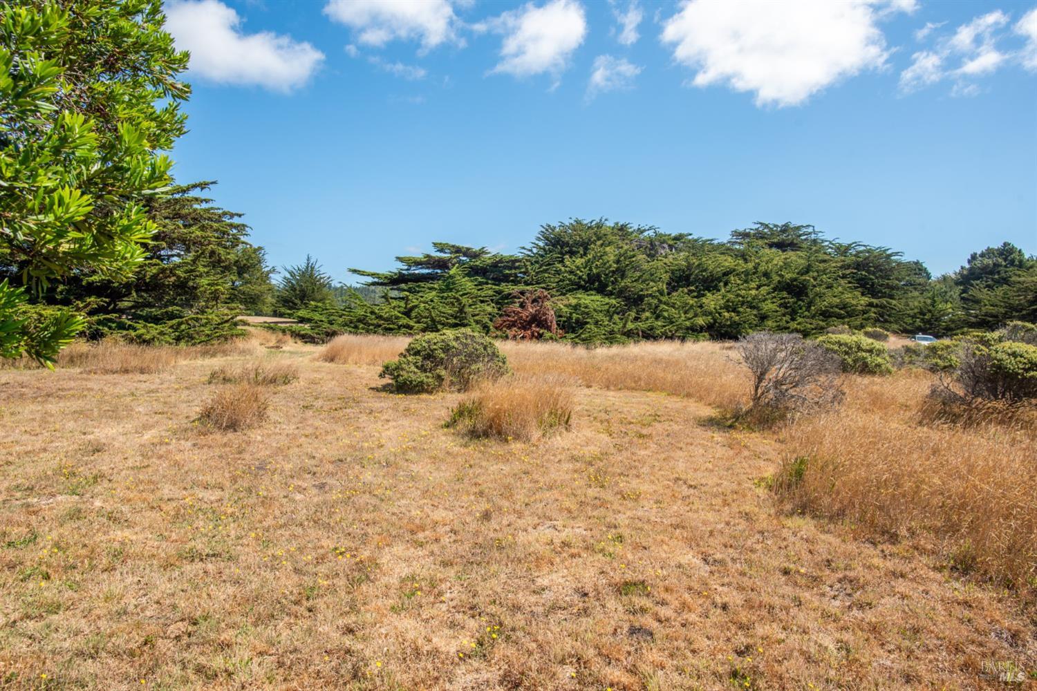 41934 Leeward Road The Sea Ranch, CA 95497 - Photo 5 of 10 a view of a dry yard with trees