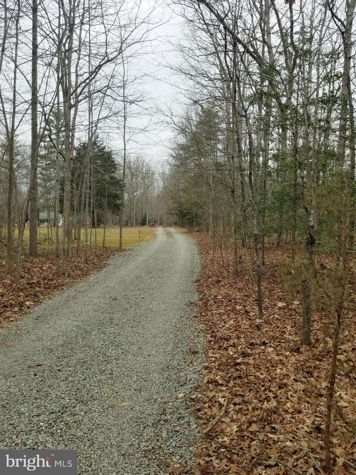 0 Paynes Mill Road Bumpass, VA 23024 - Photo 2 of 4 Gallery Image 2