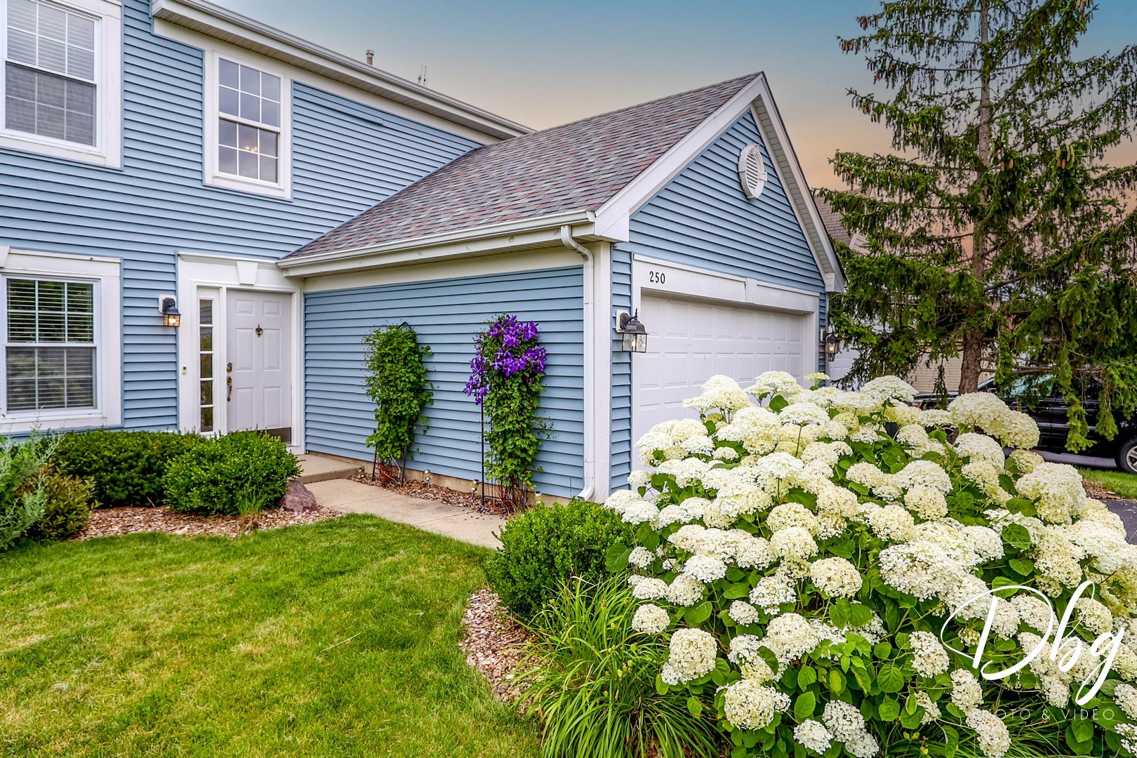 250 Jasmine Circle Lindenhurst, IL 60046 - Photo 2 of 24 a house that has a tree in front of it