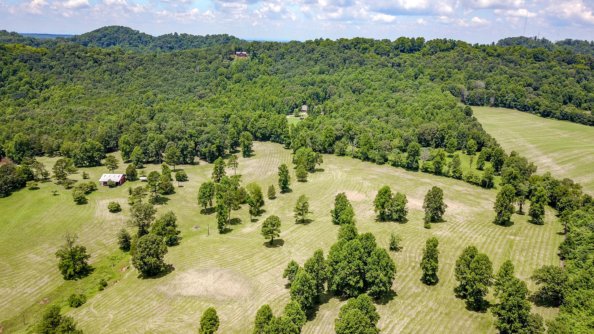 3 Brunner Road Sweetwater, TN 37874 - Photo 1 of 15 DSC1930-22
