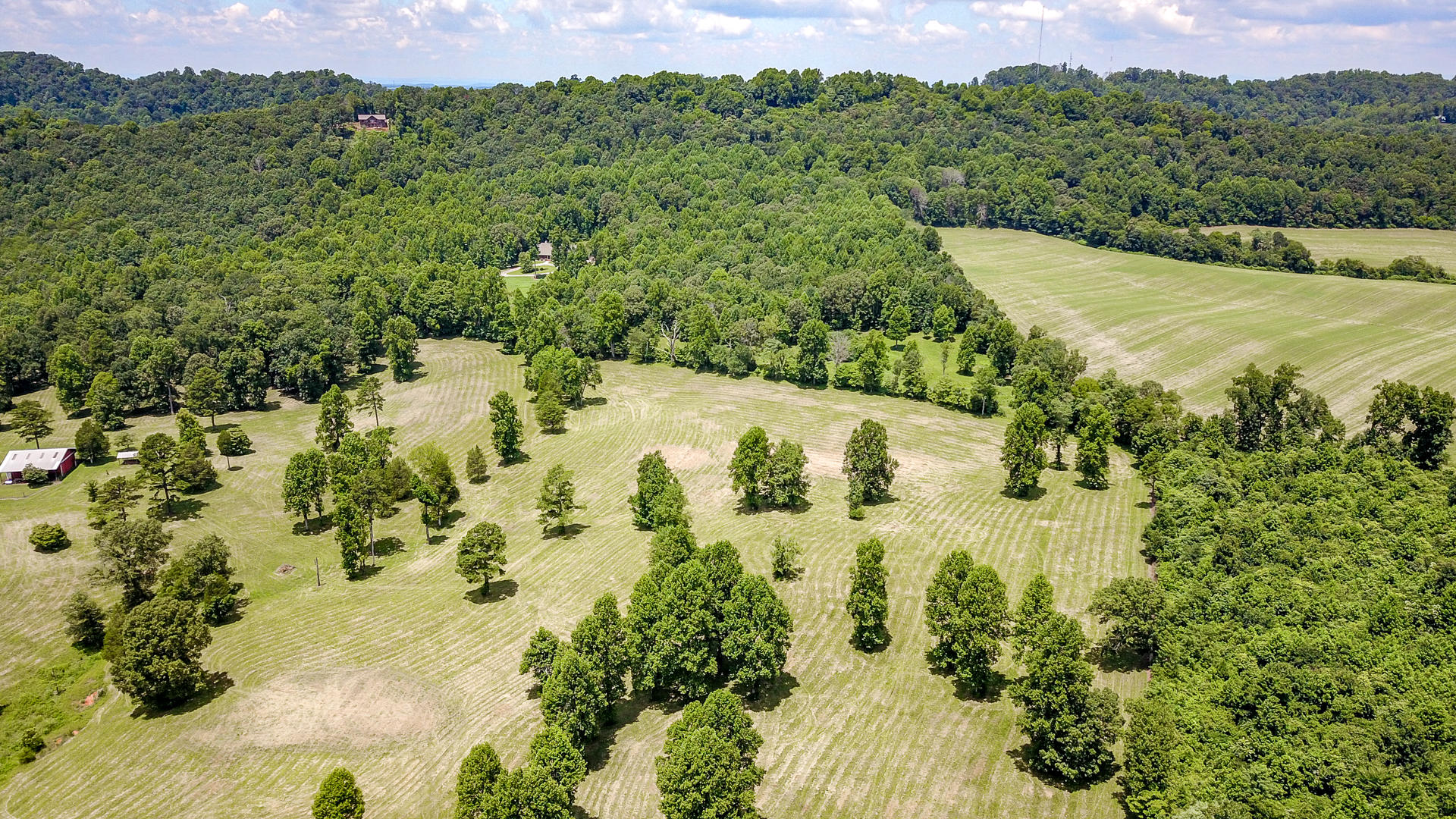 3 Brunner Road Sweetwater, TN 37874 - Photo 15 of 15 DSC1930-21