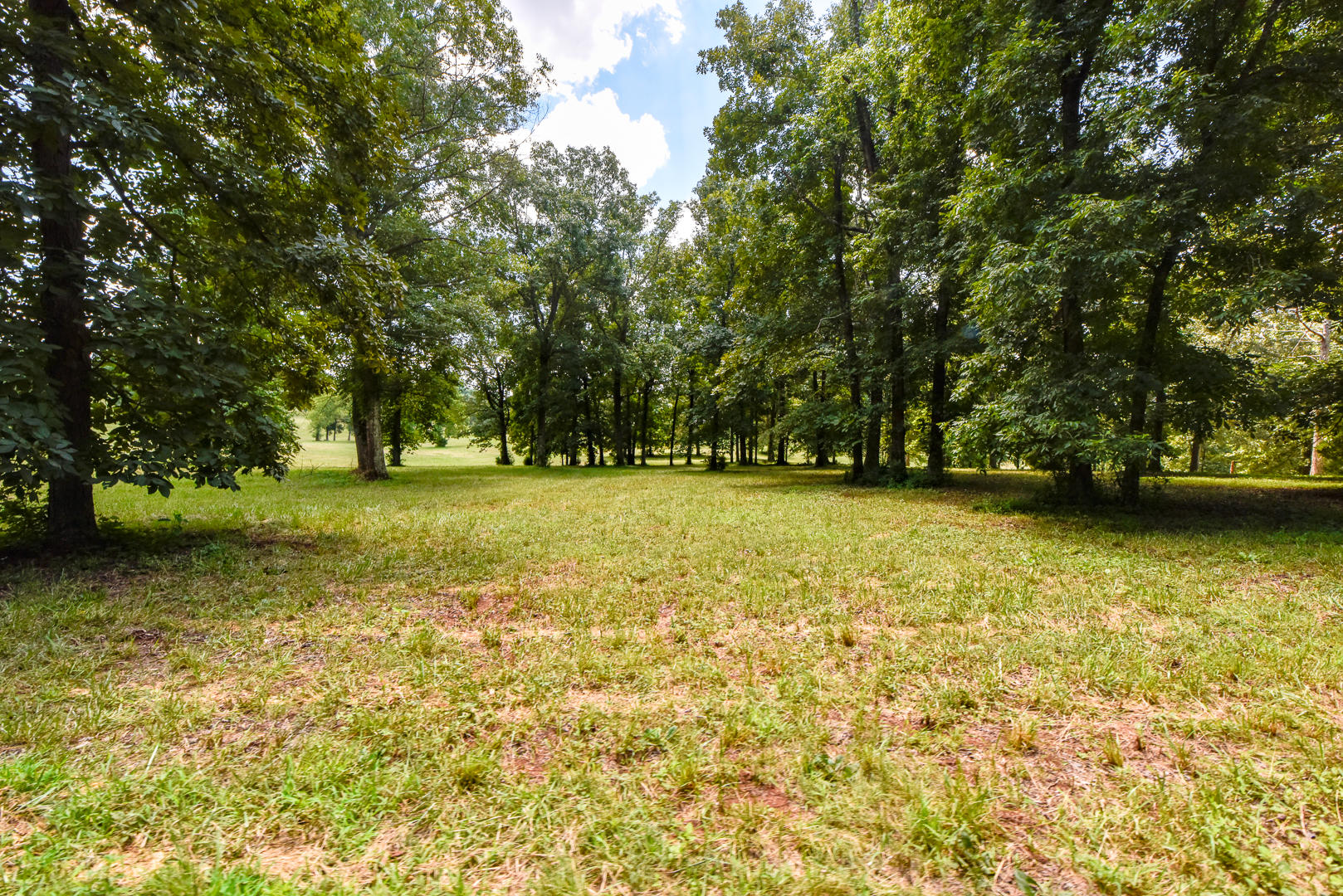 3 Brunner Road Sweetwater, TN 37874 - Photo 4 of 15 _DSC9228