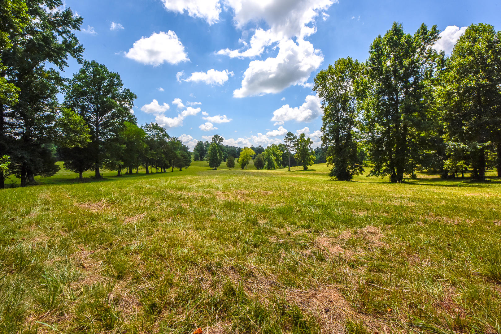 3 Brunner Road Sweetwater, TN 37874 - Photo 5 of 15 _DSC9229