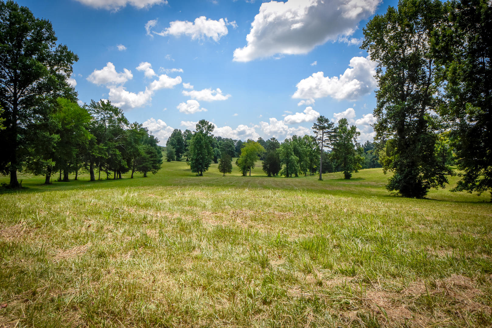 3 Brunner Road Sweetwater, TN 37874 - Photo 6 of 15 _DSC9232