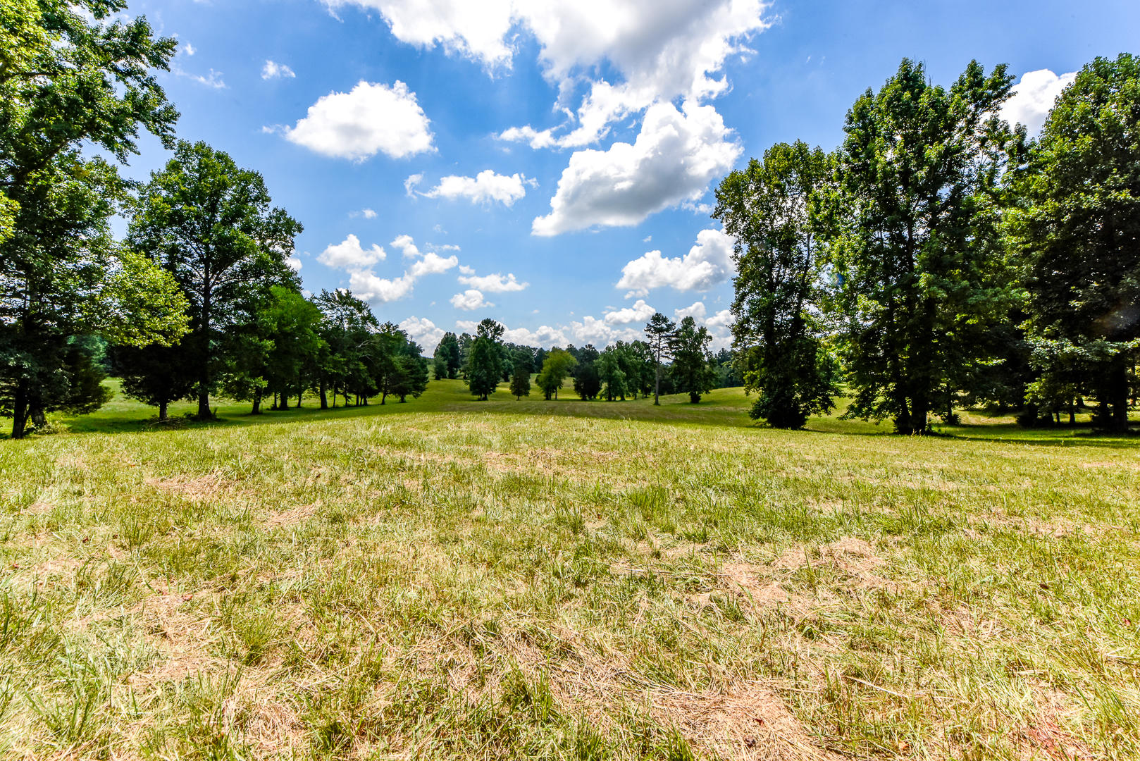 3 Brunner Road Sweetwater, TN 37874 - Photo 7 of 15 _DSC9233