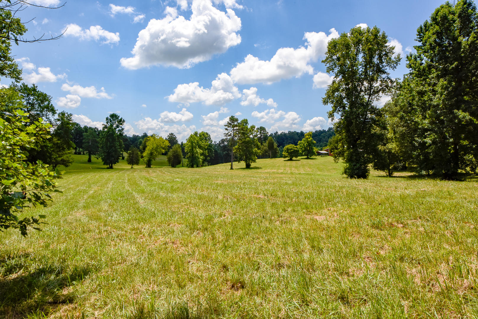 3 Brunner Road Sweetwater, TN 37874 - Photo 8 of 15 _DSC9234