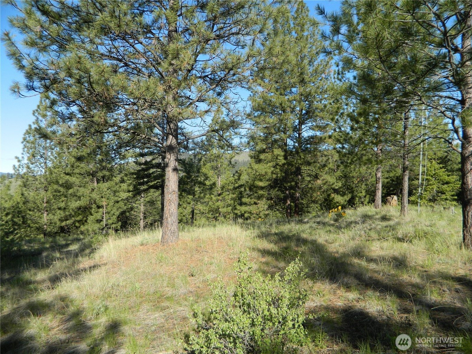 151 Indian Mary Loop Road Tonasket, WA 98855 - Photo 10 of 20