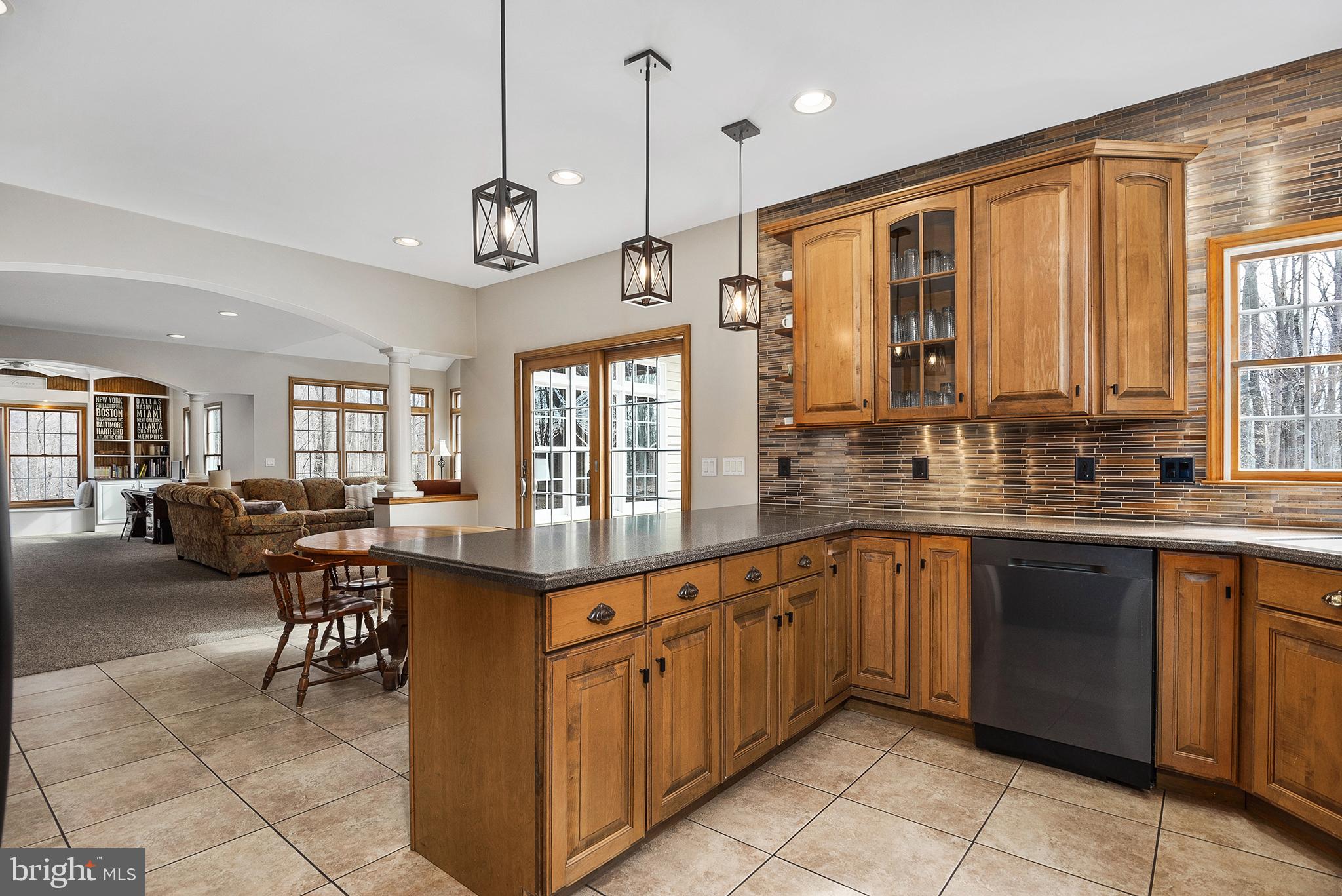128 Carter Road Elkton, MD 21921 - Photo 14 of 73 Upgraded countertops and finishes