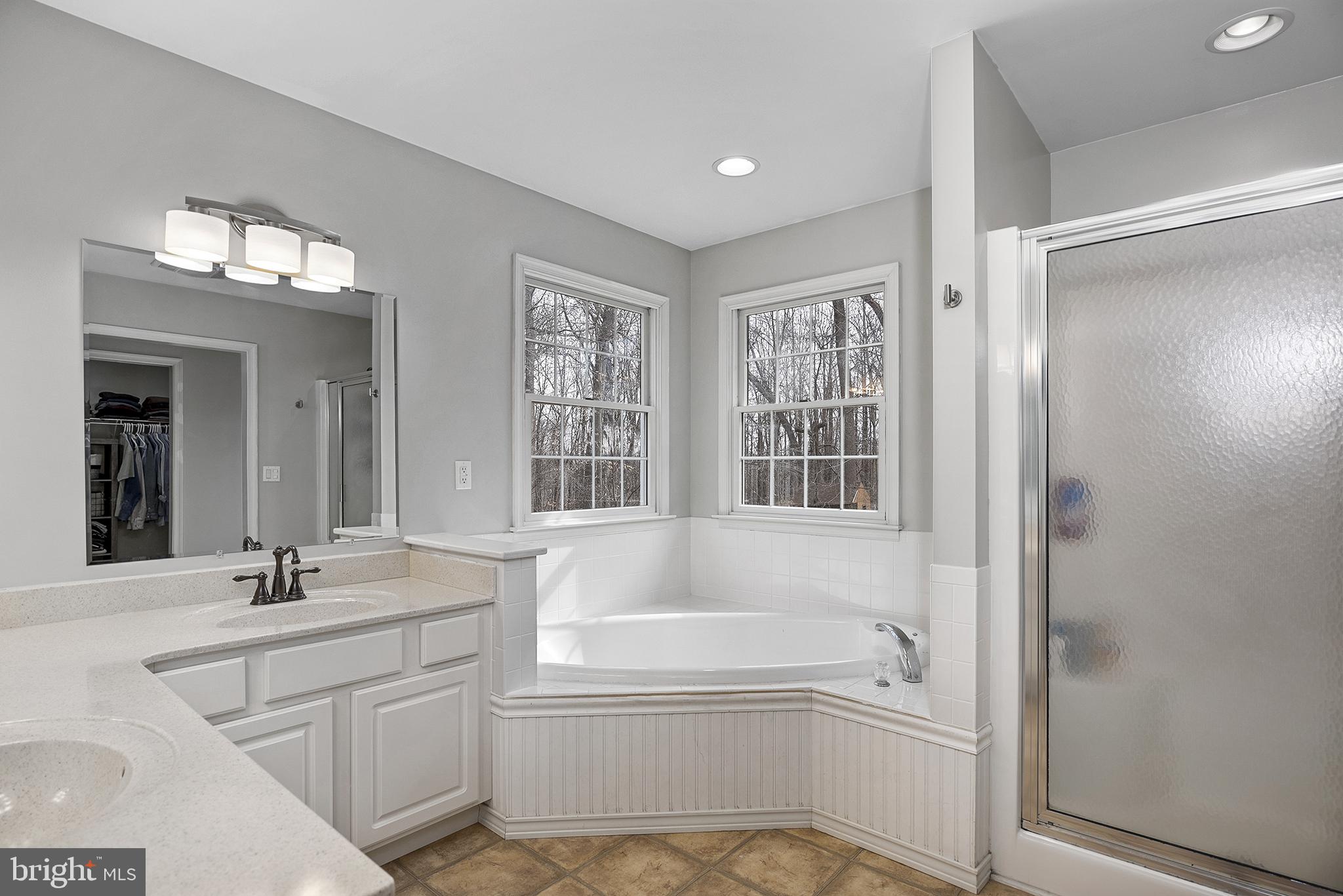 128 Carter Road Elkton, MD 21921 - Photo 33 of 73 Soaking tub with lots of natural light