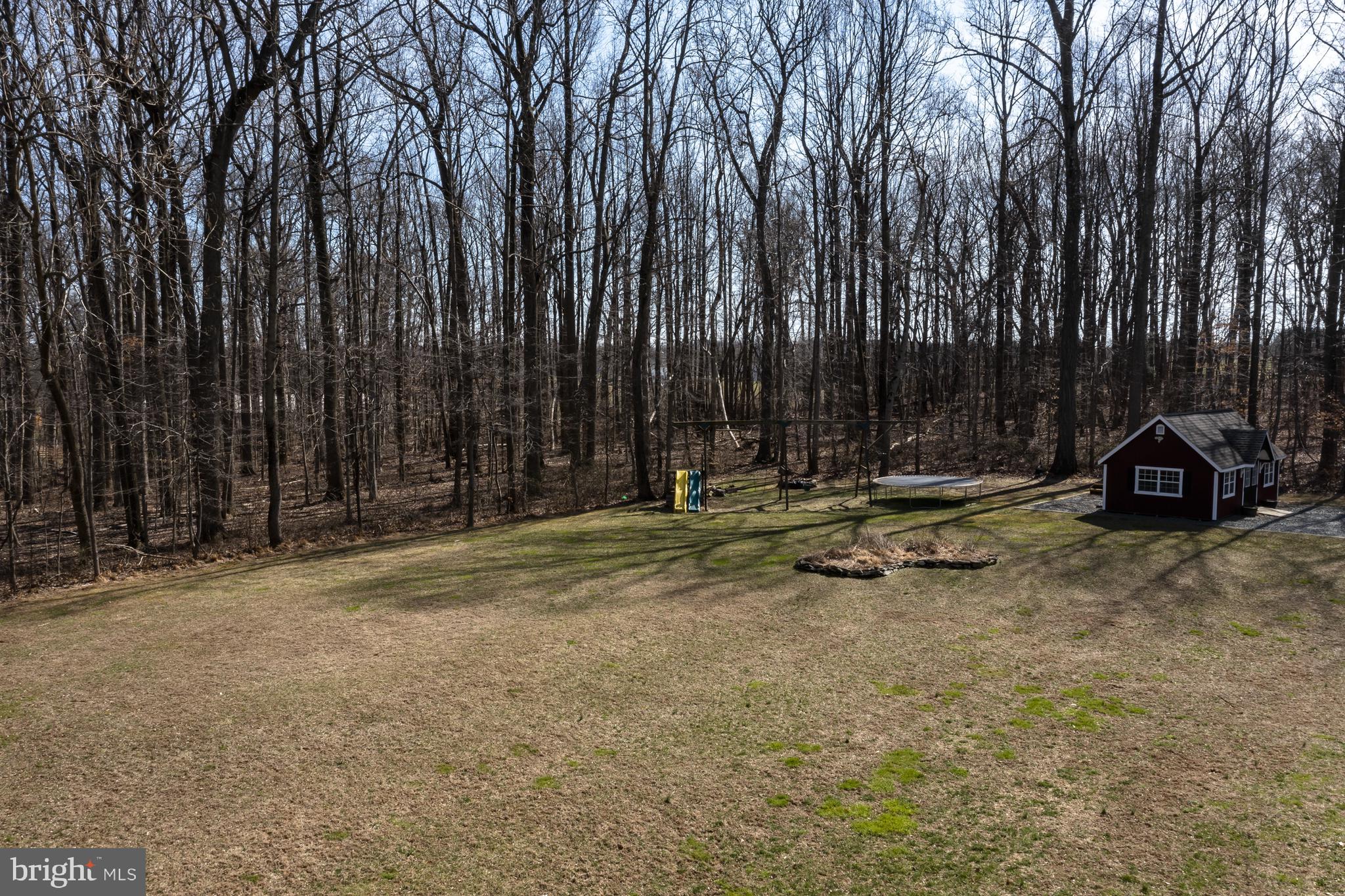 128 Carter Road Elkton, MD 21921 - Photo 61 of 73 Back yard surrounded by trees.