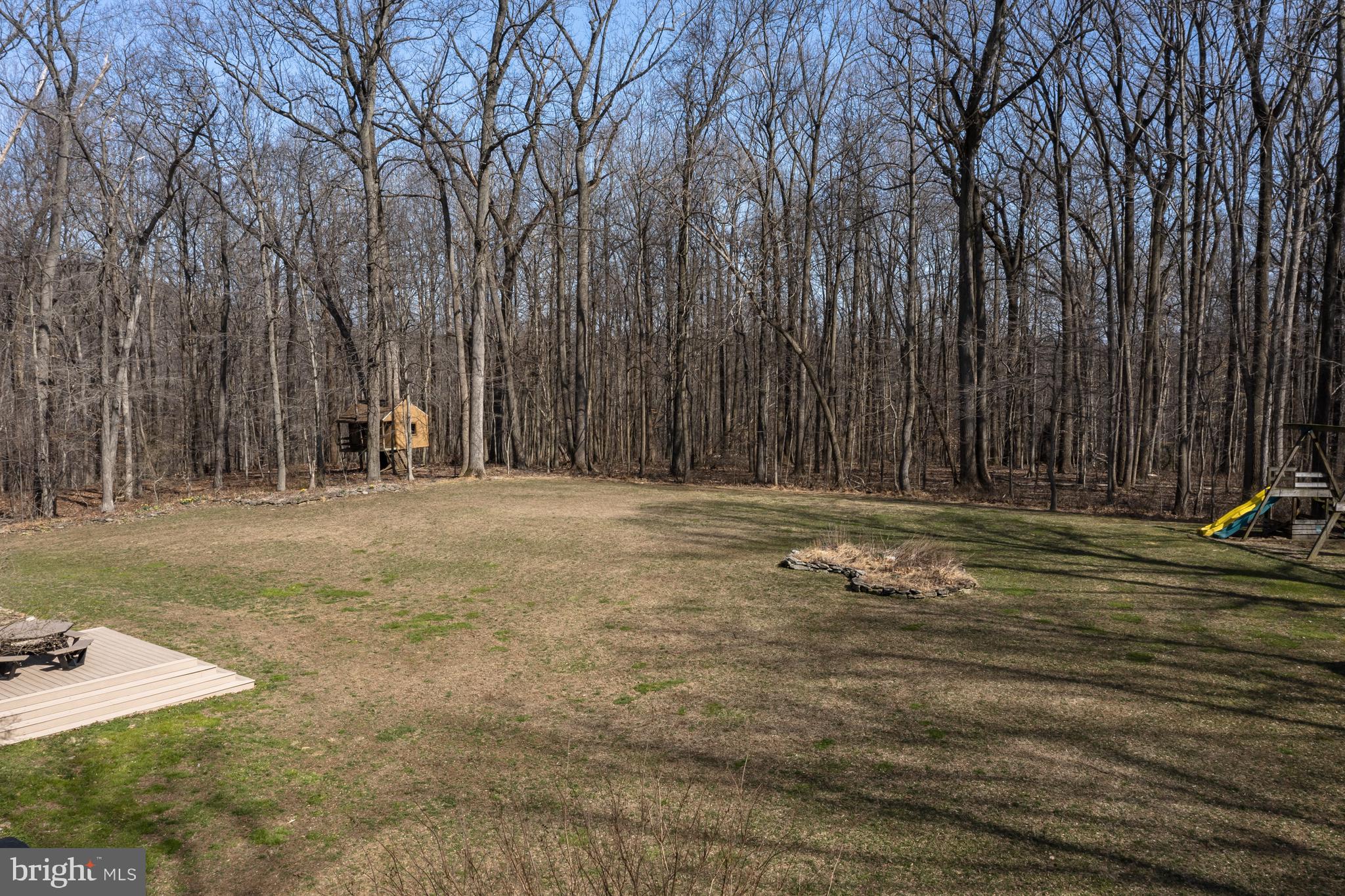 128 Carter Road Elkton, MD 21921 - Photo 63 of 73 Year yard with plenty of room to enjoy 10 acres!
