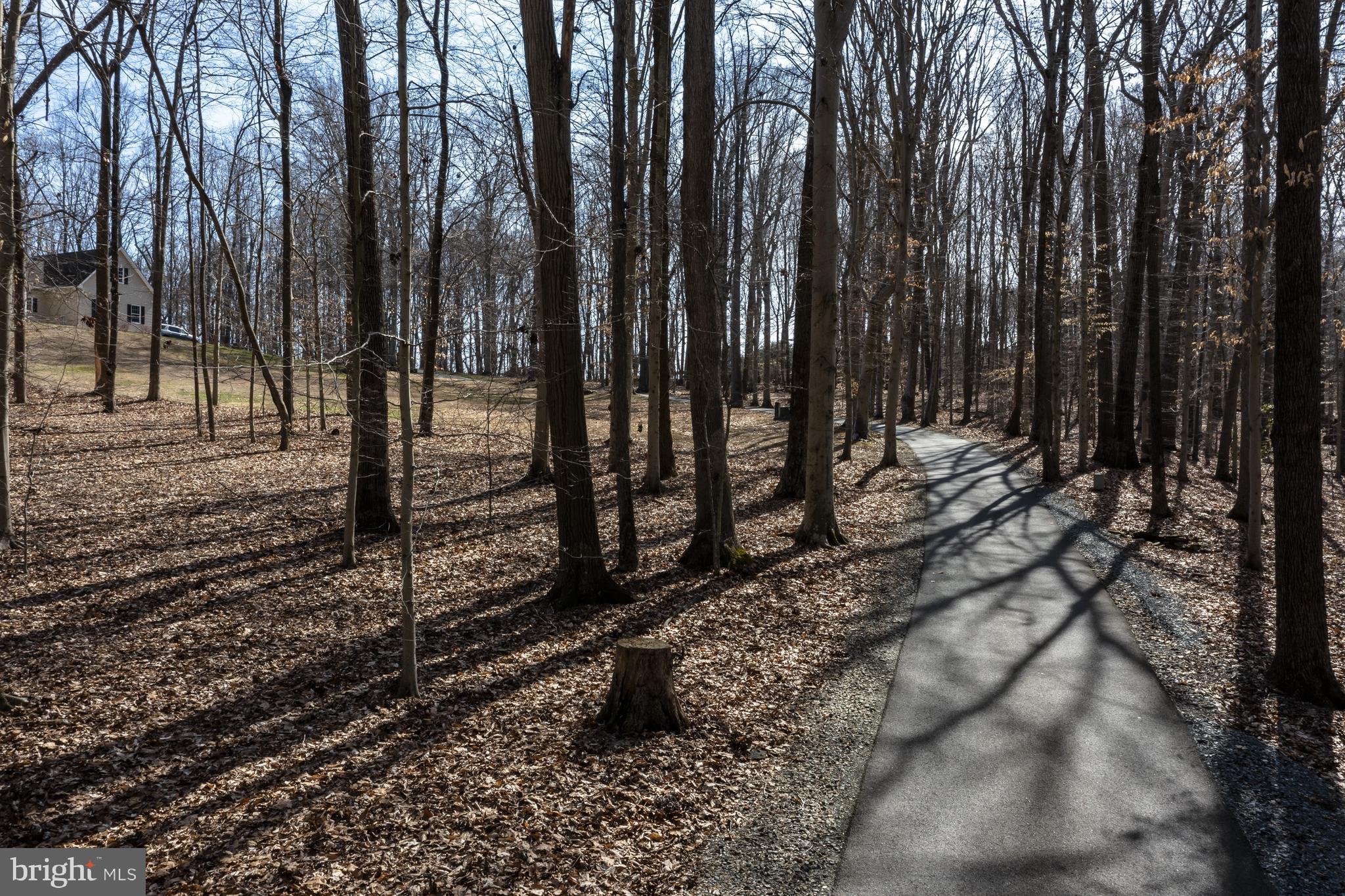 128 Carter Road Elkton, MD 21921 - Photo 65 of 73 Lovely drive to your 10 acre property
