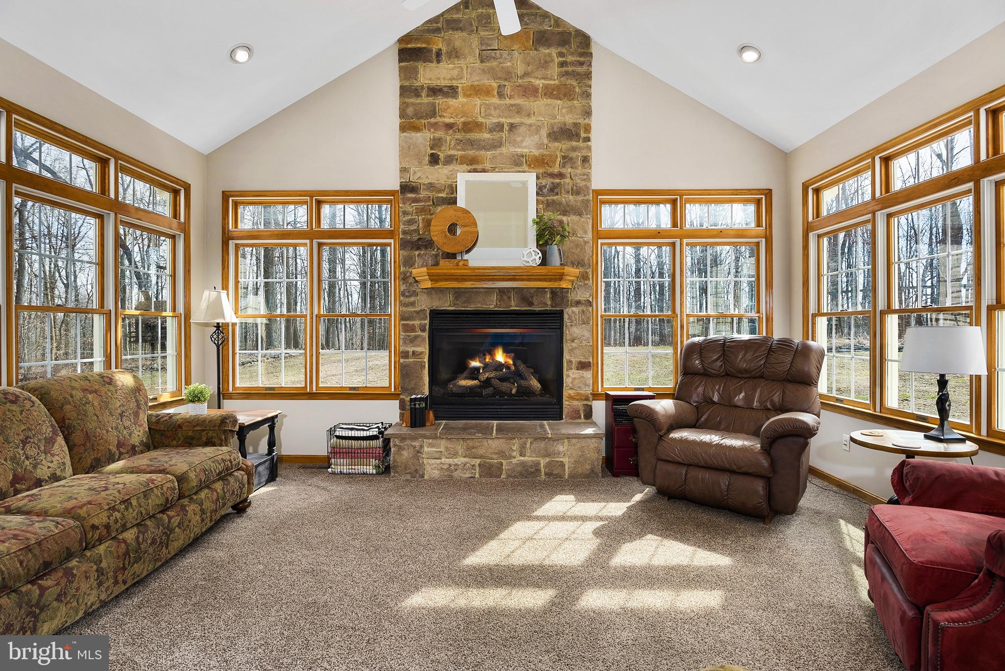 128 Carter Road Elkton, MD 21921 - Photo 9 of 73 Cozy gas fireplace