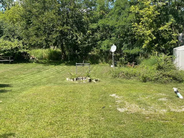 a view of a field with a tree