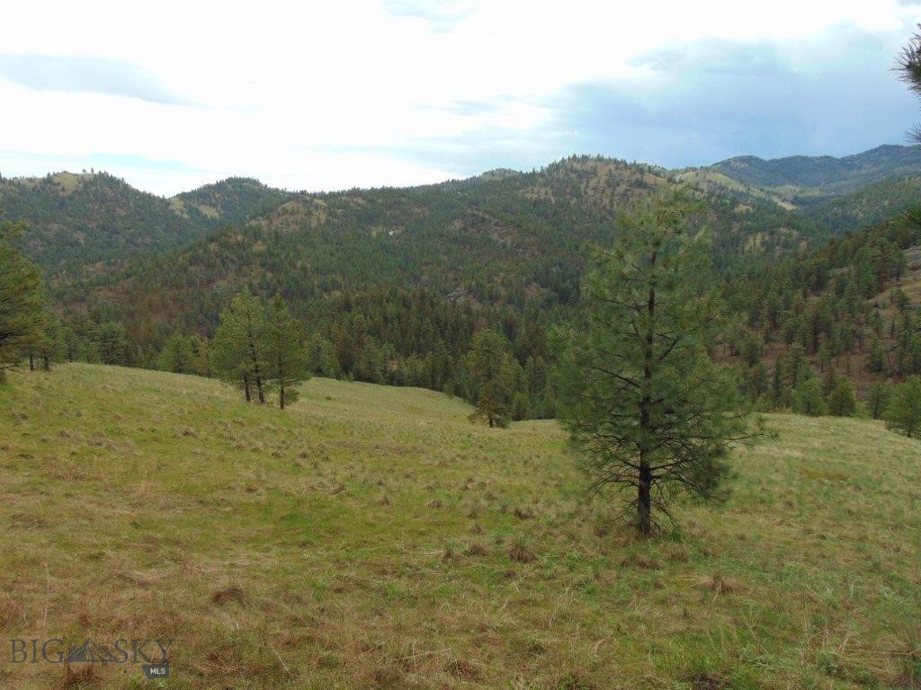 Tbd Shady Spring Lane Cascade, MT 59421 - Photo 26 of 78 Gallery Image 26