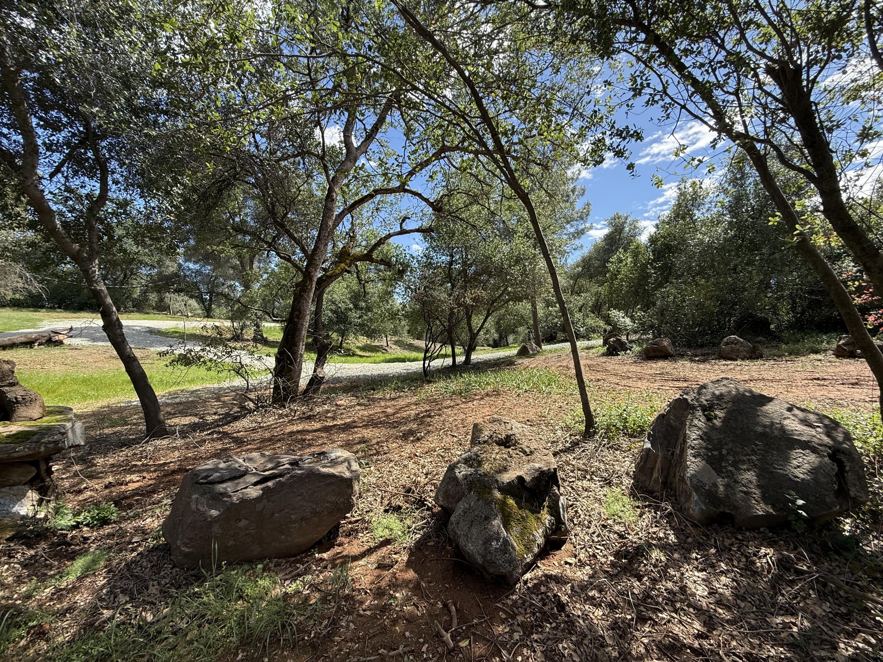 12333 Quartz Hill Road Redding, CA 96003 - Photo 19 of 21 a view of a park with large trees