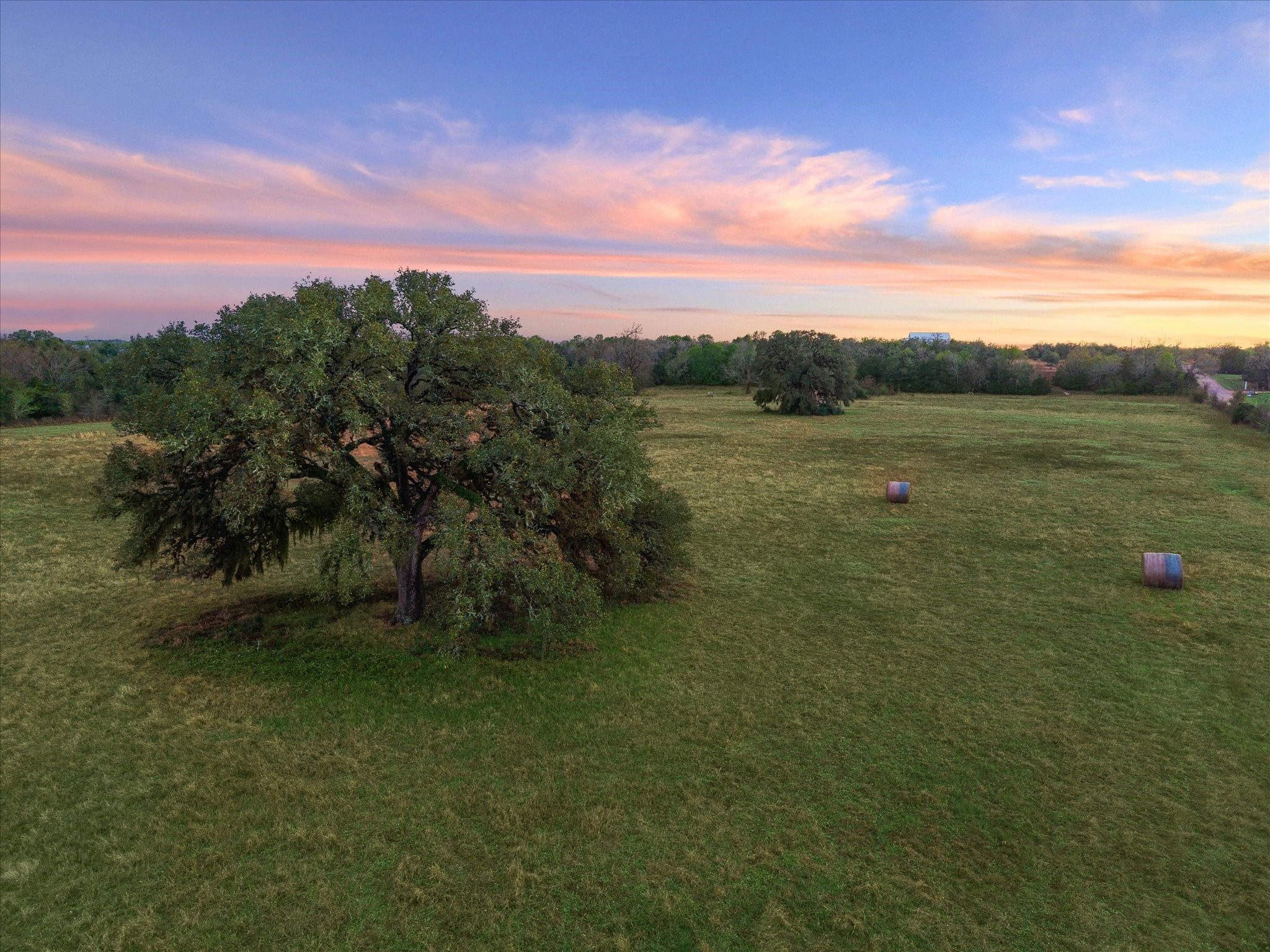 895 South Weyand Road Round Top, TX 78954 - Photo 13 of 37 Magnificent Live Oak in the pasture.