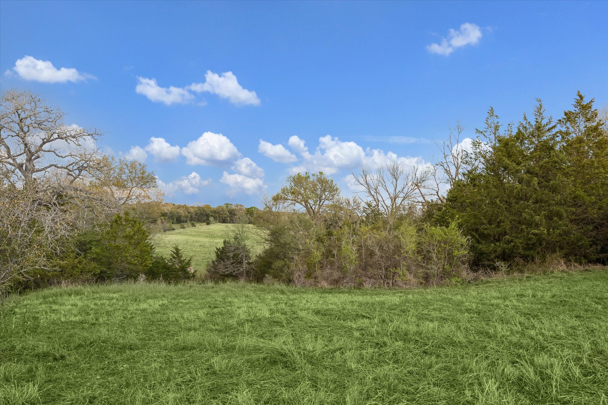 895 South Weyand Road Round Top, TX 78954 - Photo 36 of 37