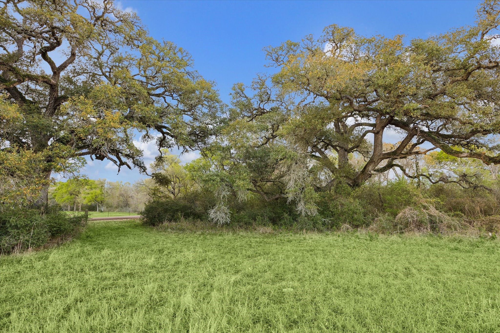 895 South Weyand Road Round Top, TX 78954 - Photo 37 of 37