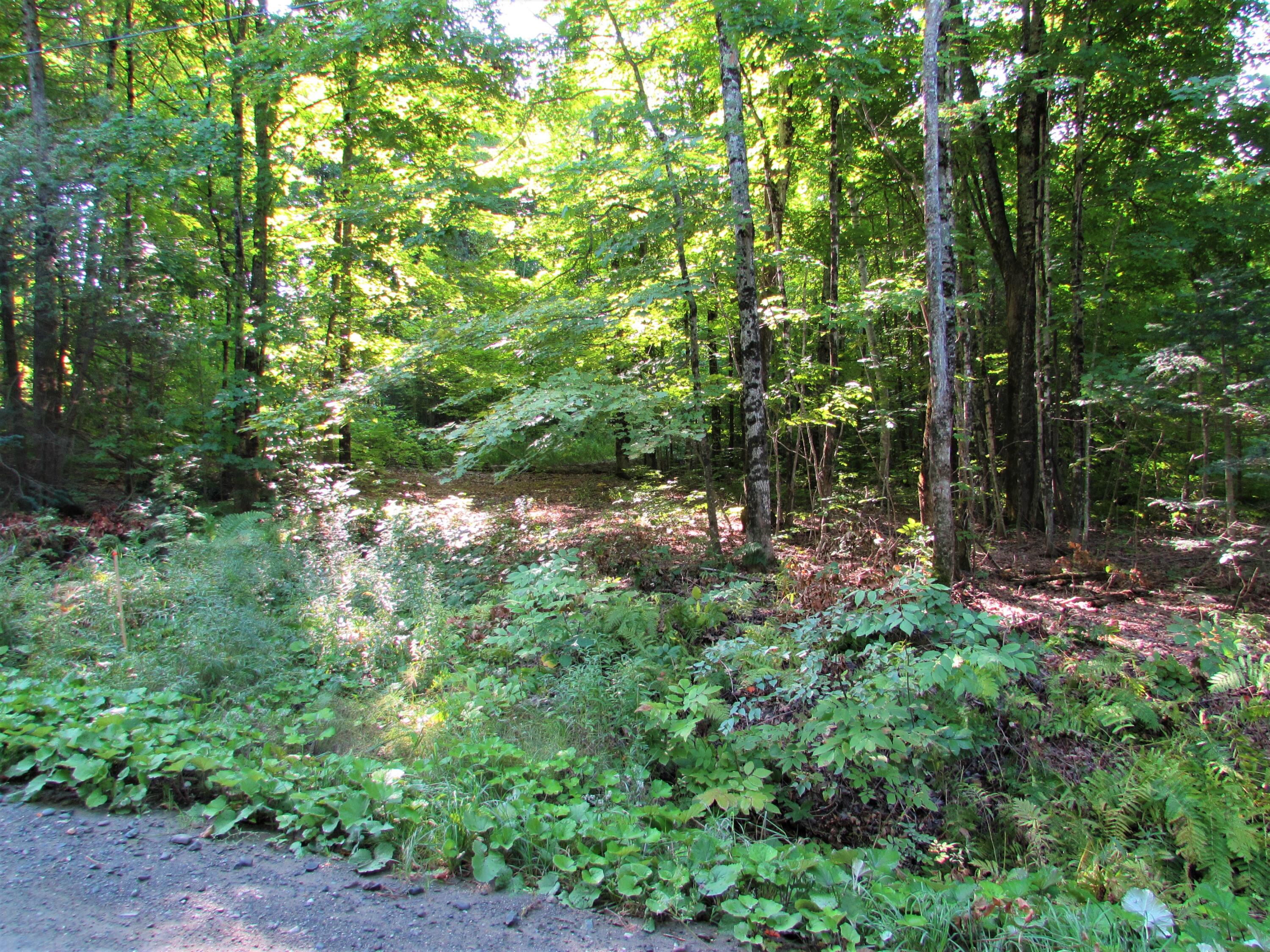 97 Fogler Road Exeter, ME 04435 - Photo 7 of 8 IMG_2690