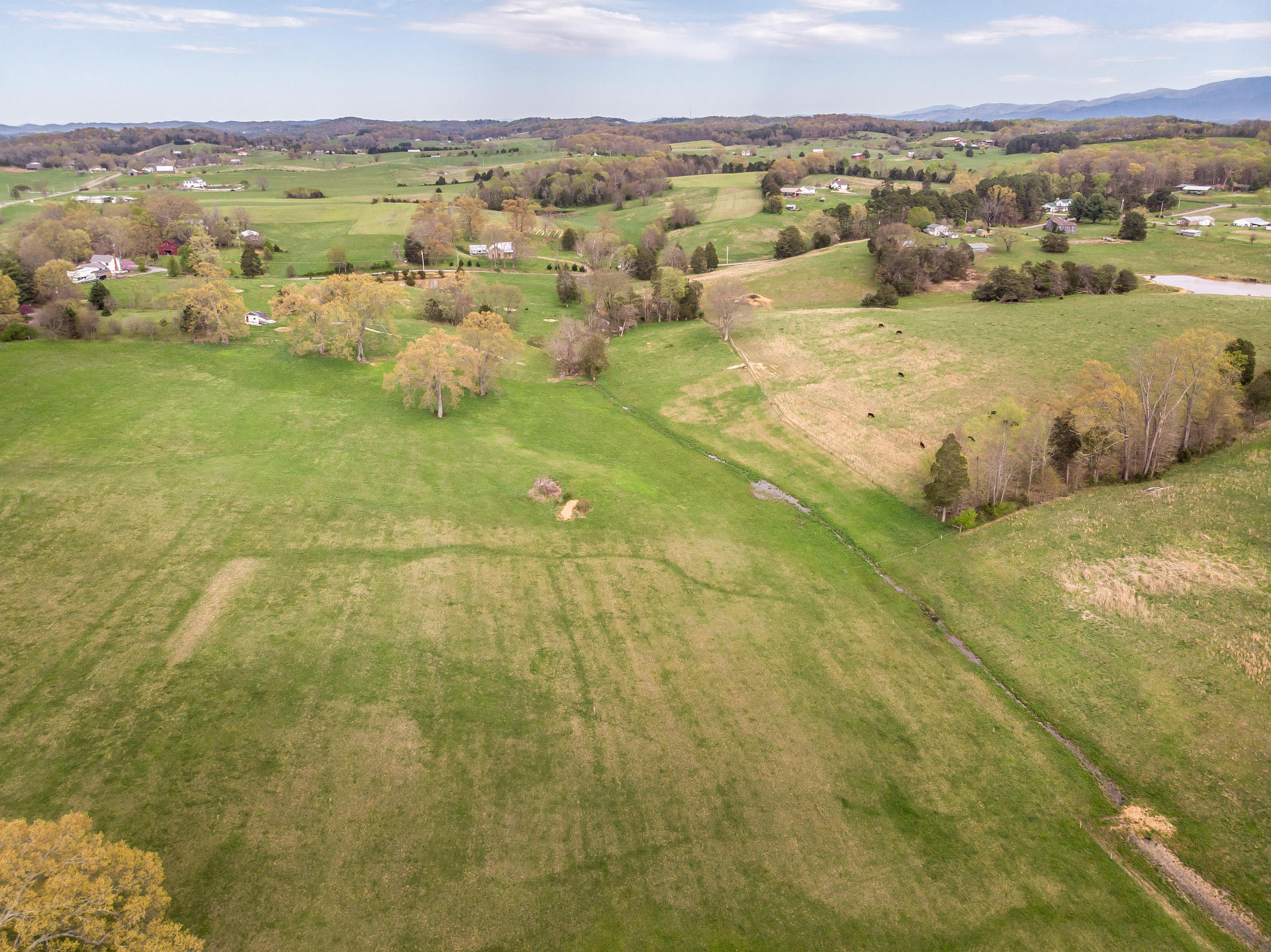 3675 Warrensburg Road Greeneville, TN 37743 - Photo 36 of 68 3675WarrensburgG_09