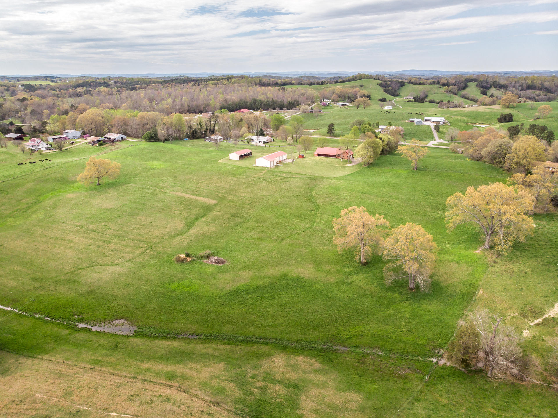 3675 Warrensburg Road Greeneville, TN 37743 - Photo 4 of 68 3675WarrensburgG_15