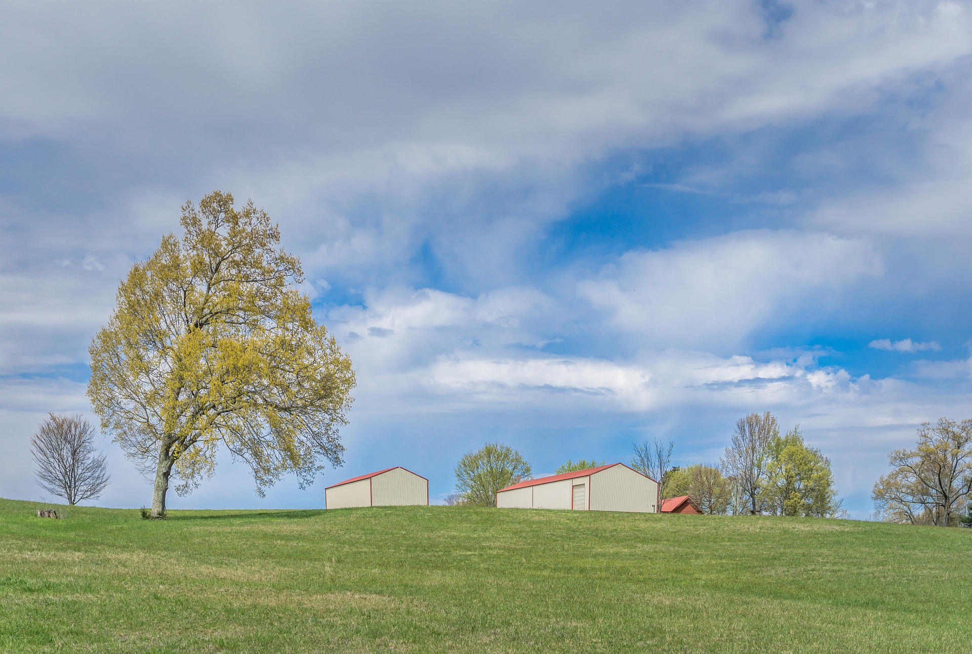 3675 Warrensburg Road Greeneville, TN 37743 - Photo 50 of 68 3675WarrensburgG_41