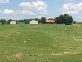 3675 Warrensburg Road Greeneville, TN 37743 - Photo 5 of 68 Good PastureHay Ground