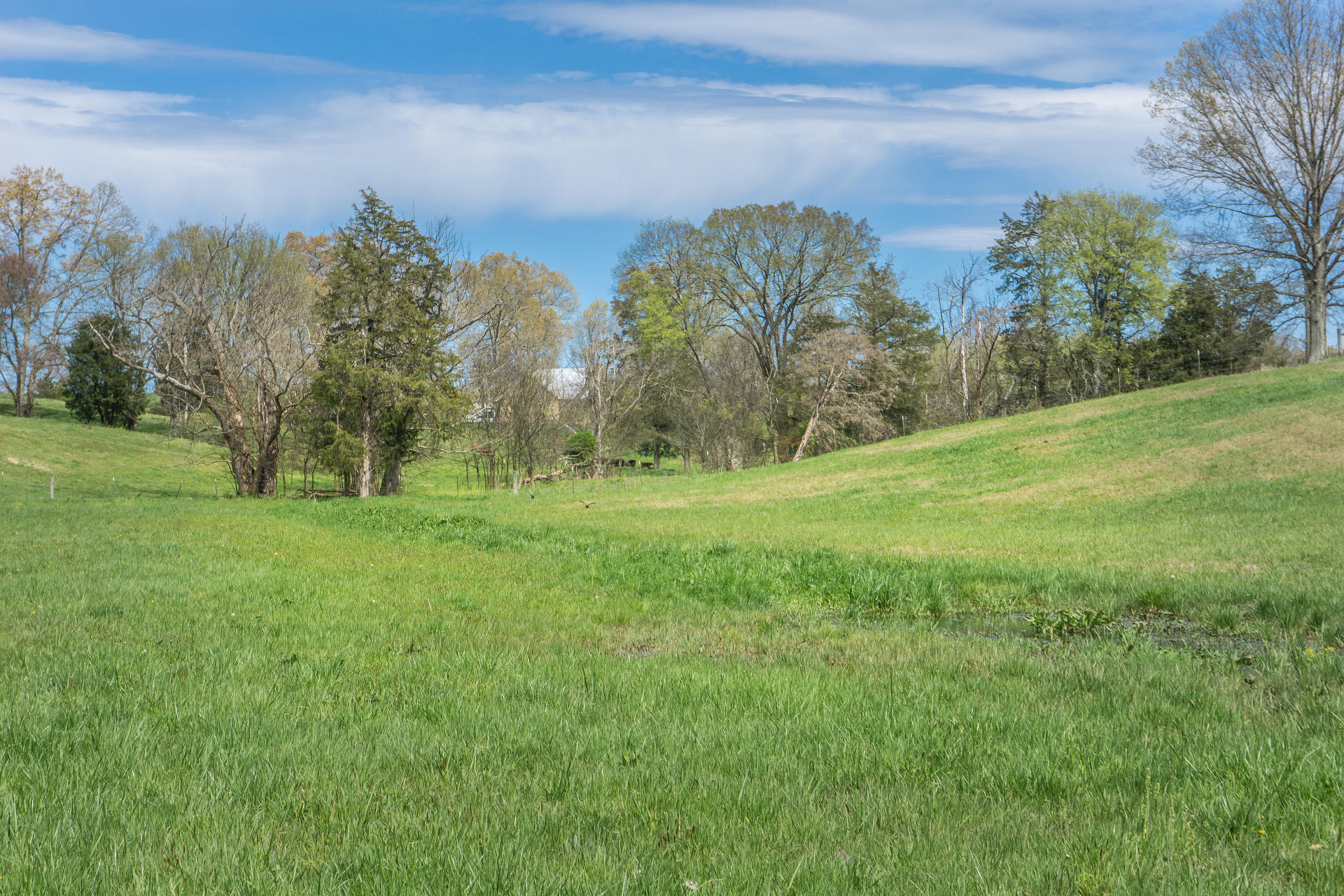 3675 Warrensburg Road Greeneville, TN 37743 - Photo 51 of 68 3675WarrensburgG_42