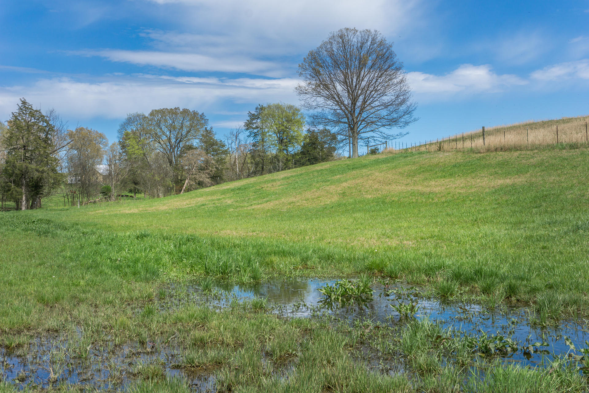3675 Warrensburg Road Greeneville, TN 37743 - Photo 52 of 68 3675WarrensburgG_43