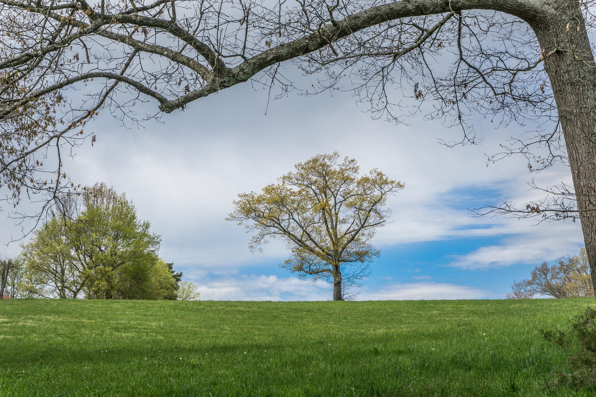 3675 Warrensburg Road Greeneville, TN 37743 - Photo 53 of 68 3675WarrensburgG_45
