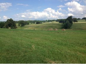 3675 Warrensburg Road Greeneville, TN 37743 - Photo 6 of 68 Great Views