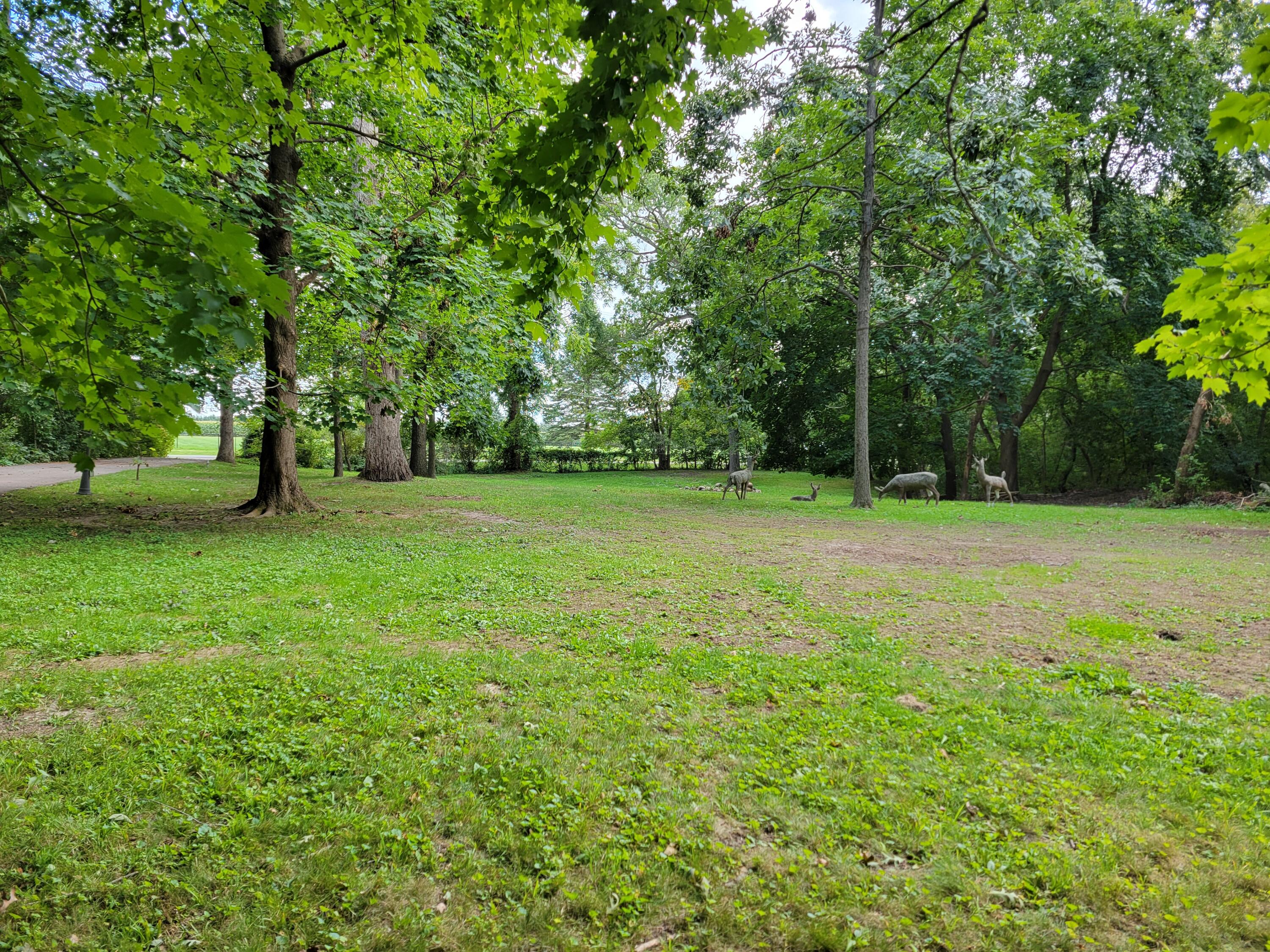 3505 South Shore Drive Delavan, WI 53115 - Photo 5 of 12 Building Site