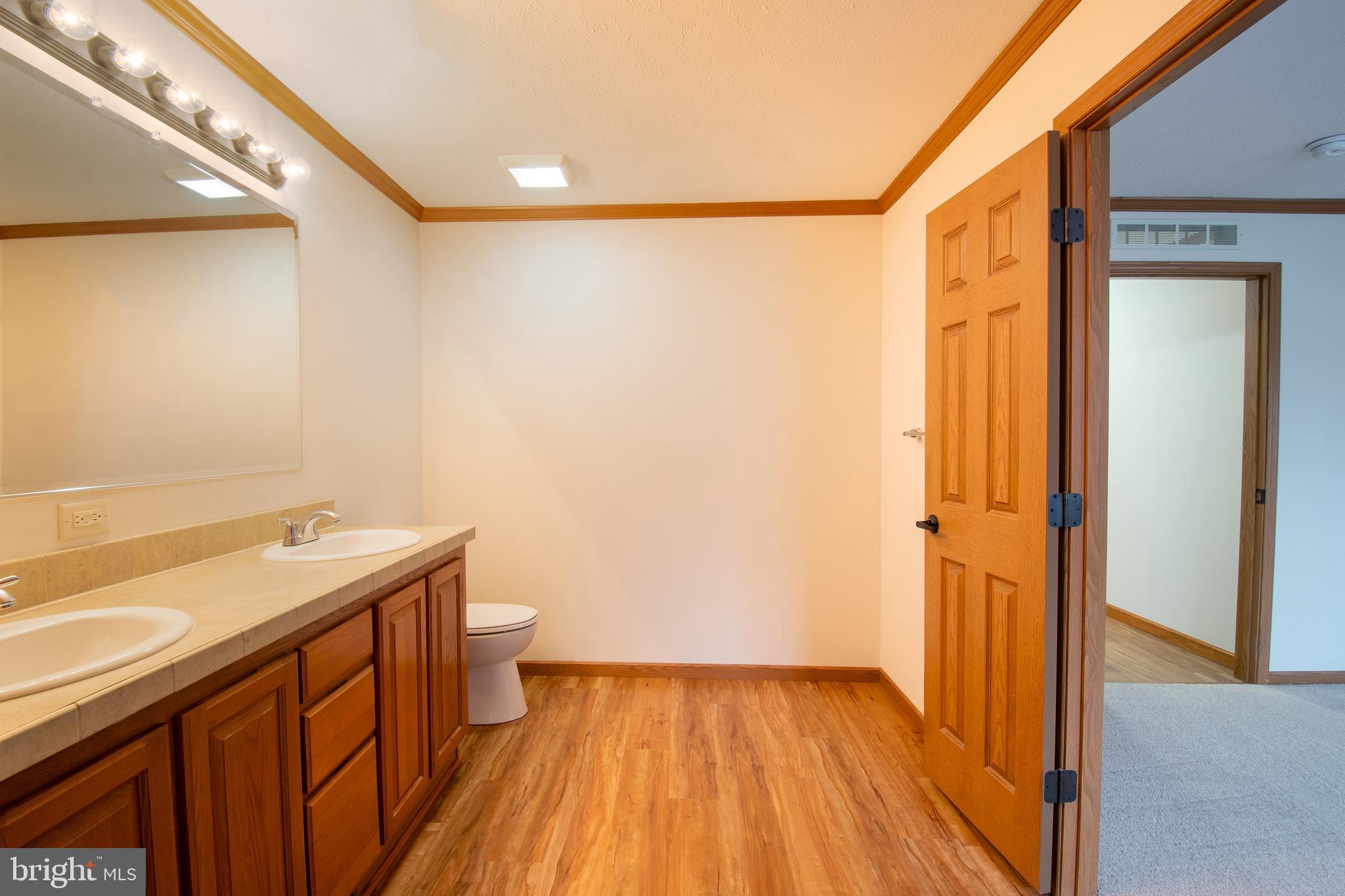 116 Lavender Lane, Unit 4 Magnolia, DE 19962 - Photo 23 of 26 a bathroom with a sink a toilet and shower