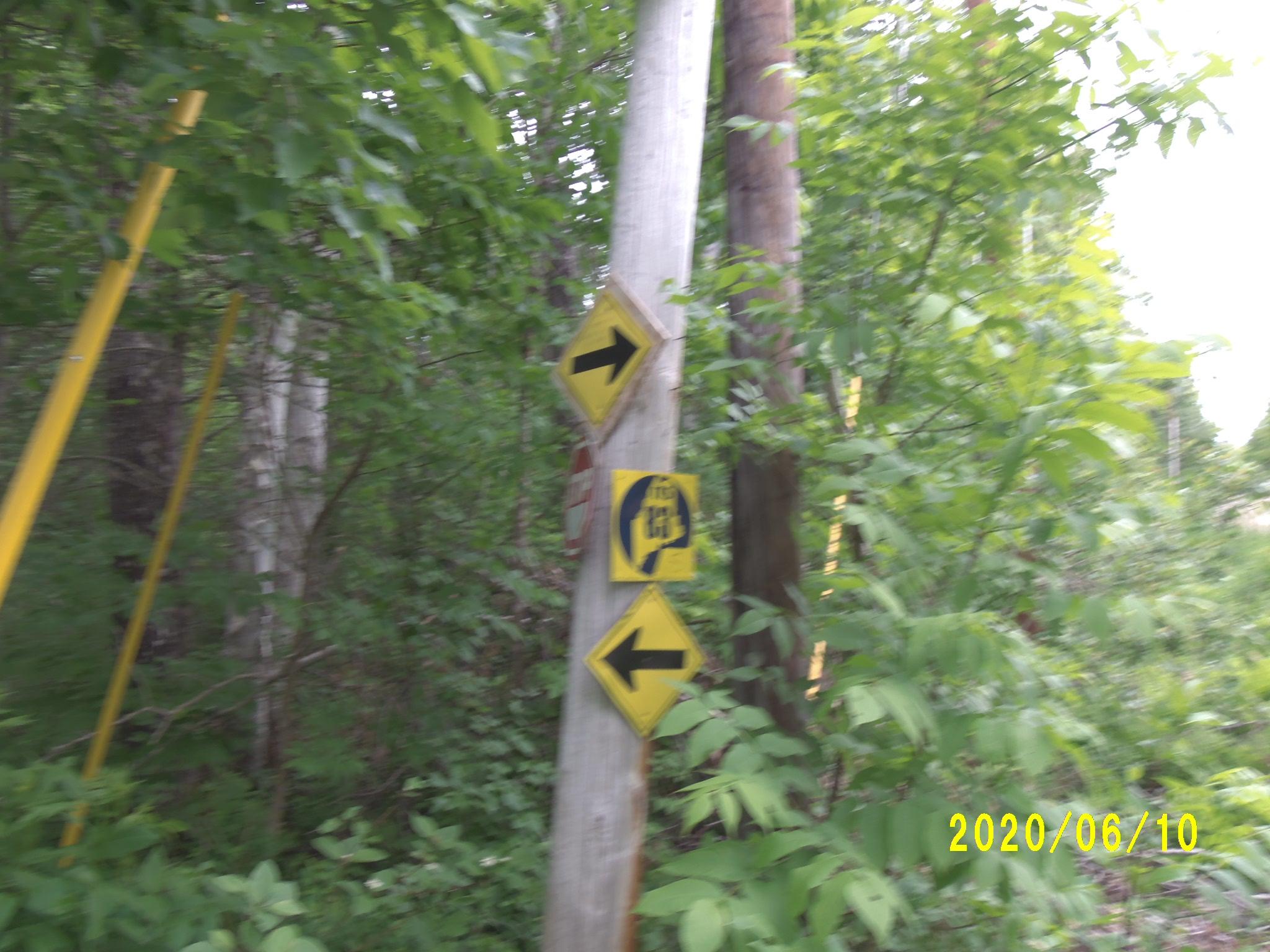 0 Palmer Meadow Road Dixmont, ME 04932 - Photo 5 of 9 125_4612