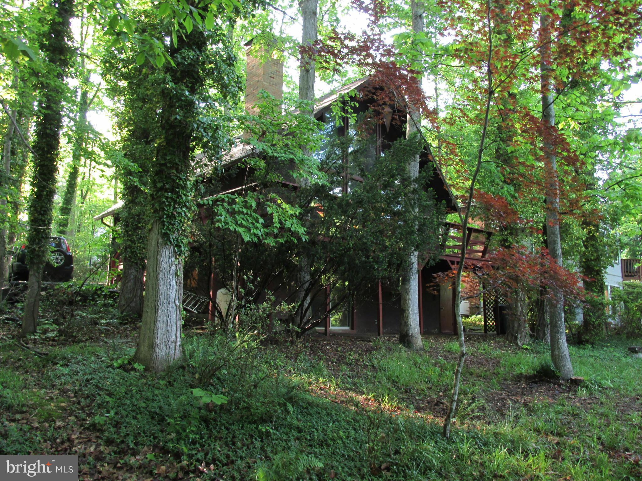 119 Indian Hills Road Locust Grove, VA 22508 - Photo 15 of 30 Exterior (Rear)