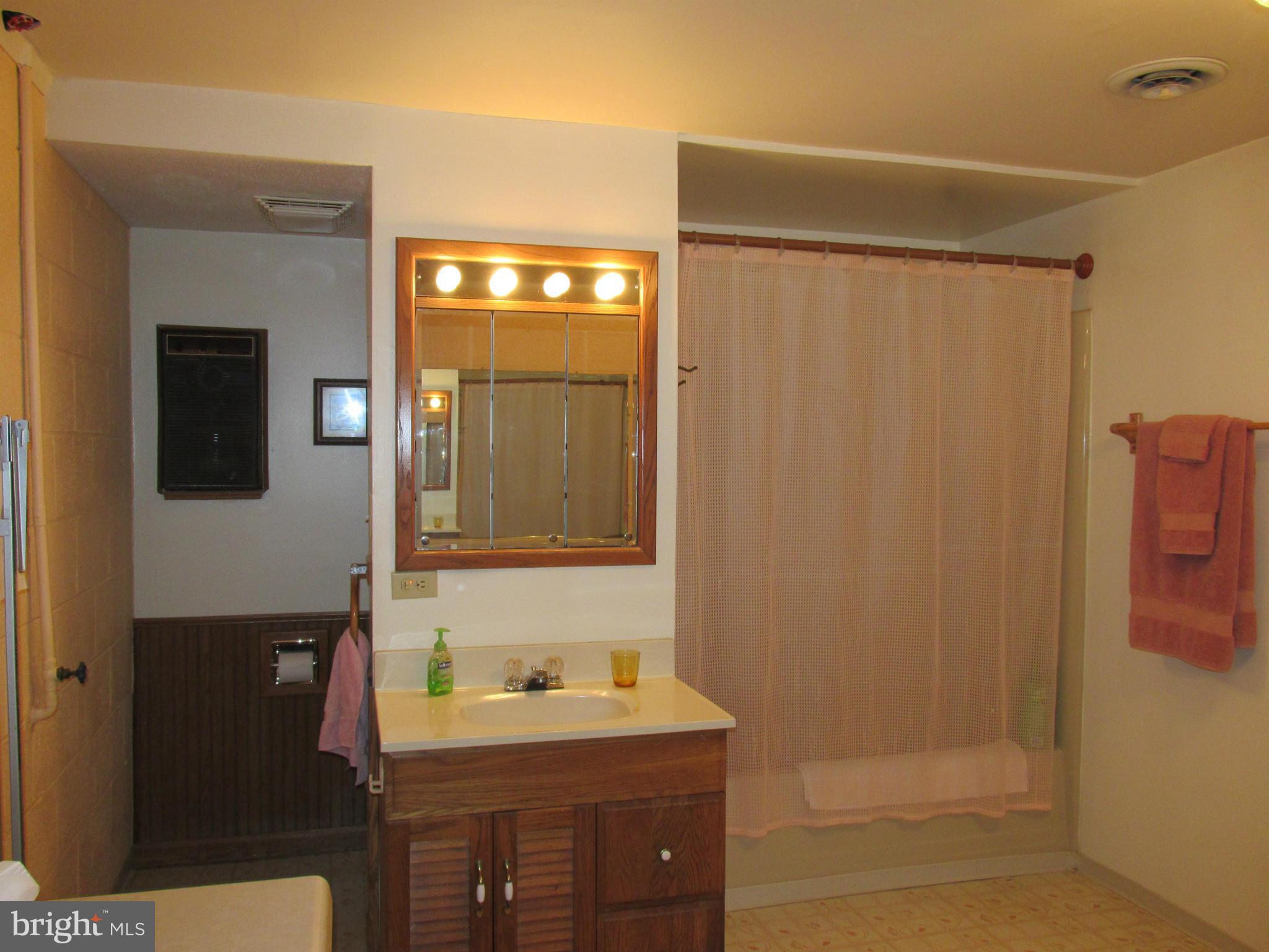119 Indian Hills Road Locust Grove, VA 22508 - Photo 22 of 30 Bath
