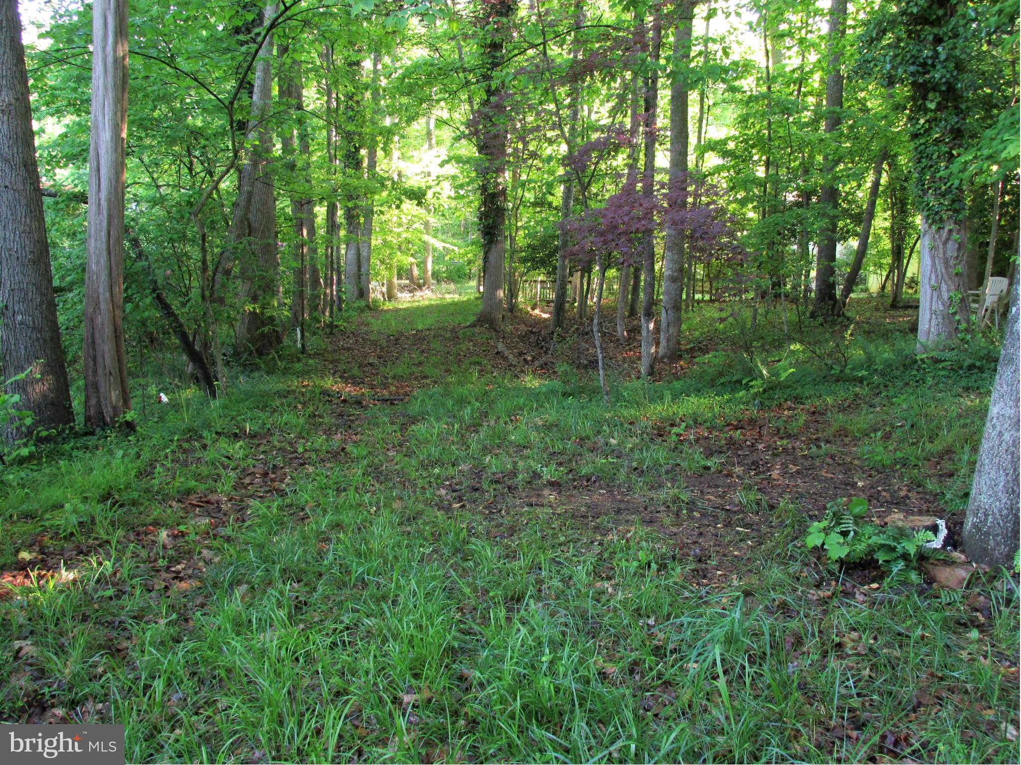 119 Indian Hills Road Locust Grove, VA 22508 - Photo 29 of 30 View of yard toward 2nd lot at lakes edge