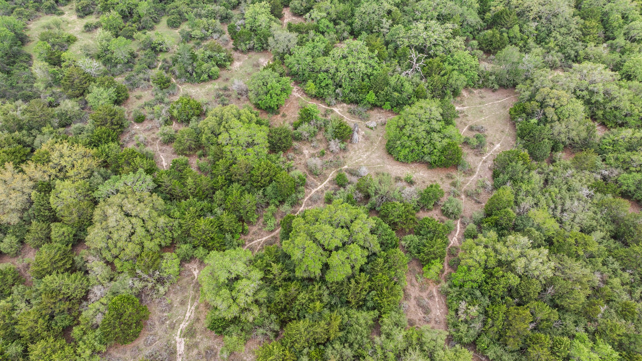 Tbd East Tobias Road Columbus, TX 78934 - Photo 8 of 12 an aerial view of residential house with outdoor space and trees all around