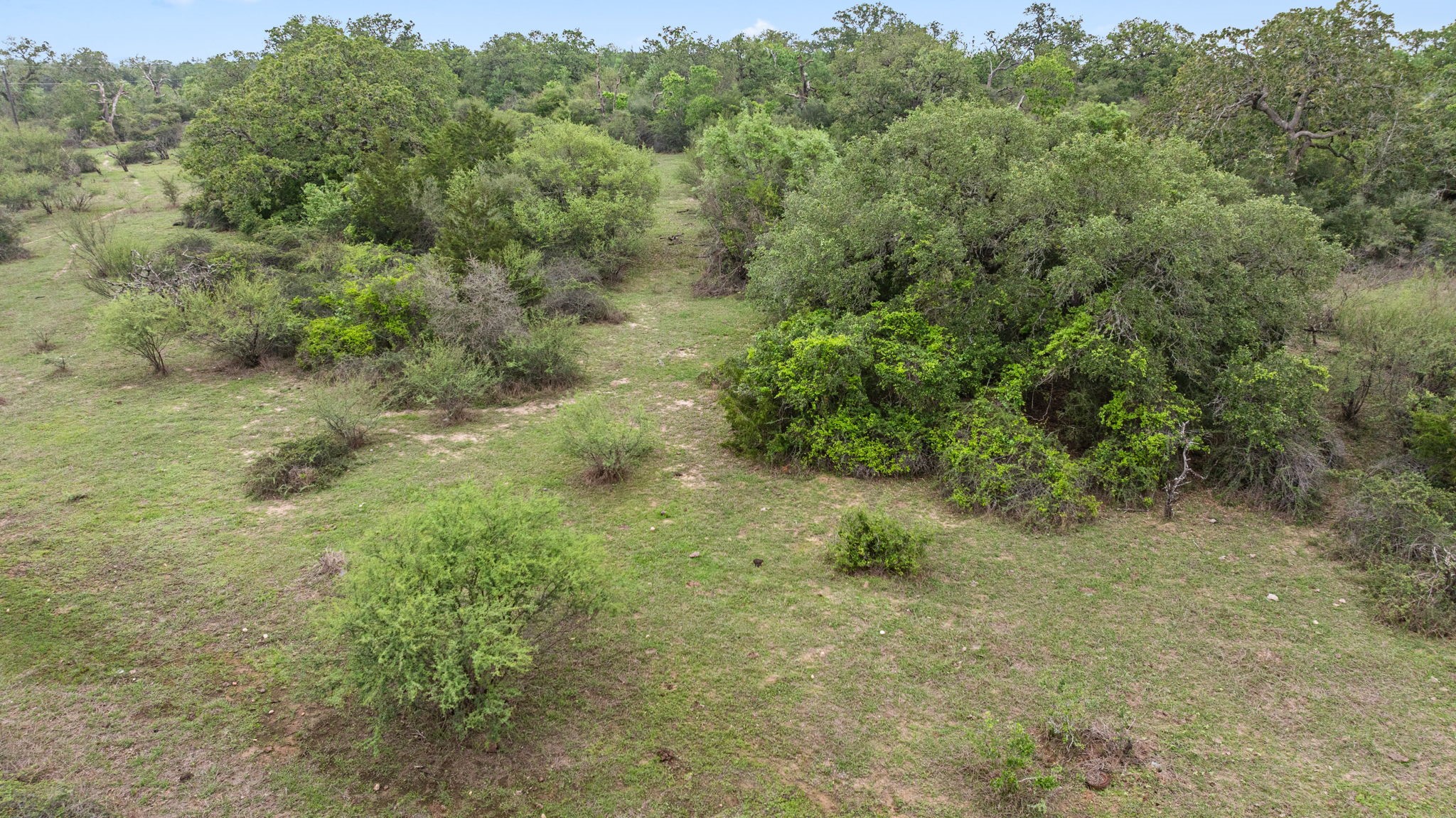 Tbd East Tobias Road Columbus, TX 78934 - Photo 10 of 12 a view of a forest with a street