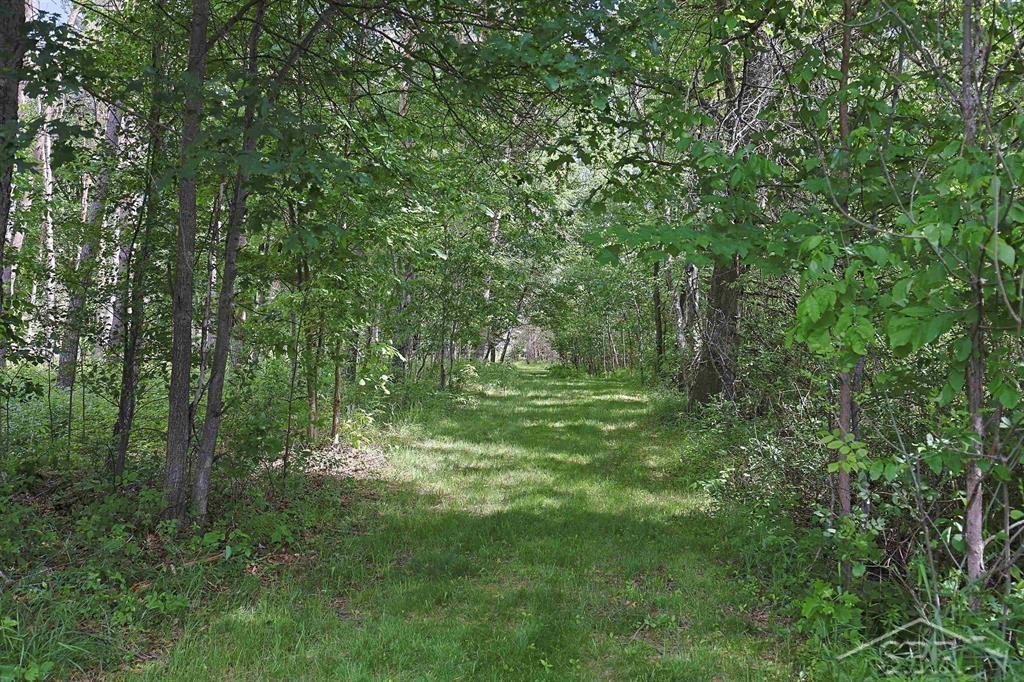 2202 West Huckleberry Road Sanford, MI 48657 - Photo 45 of 64