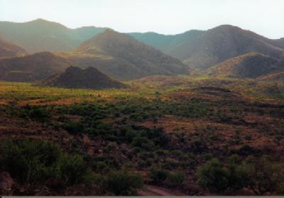 96 South Bond Canyon Road Tubac, AZ 85646 - Photo 5 of 5