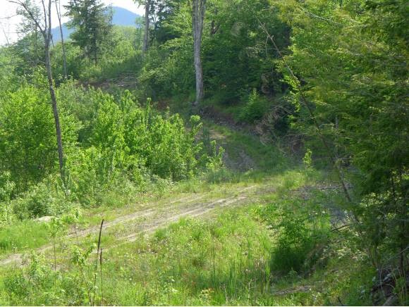 59-309 Rickaby Road Lowell, VT 05847 - Photo 15 of 21