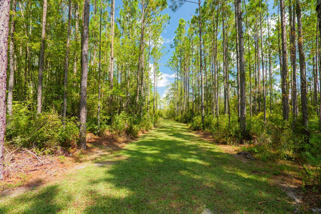 614 Copeland Road Lake Park, GA 31636 - Photo 52 of 52 Gallery Image 52