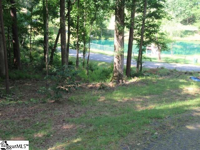 234 Little Crowe Creek Road Pickens, SC 29671 - Photo 19 of 36 Gallery Image 19